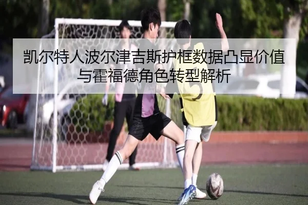 凯尔特人波尔津吉斯护框数据凸显价值与霍福德角色转型解析